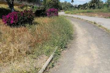 Abandono del Parque de las Mil Palmeras del Valle de Jinámar/TA.